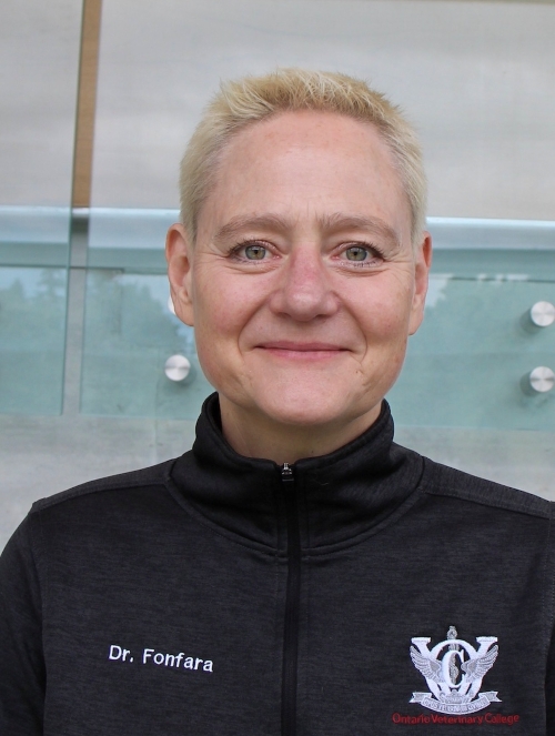 Sonja Fonfara, DVM, Dr med vet, PhD, Docent, PGCertHE, CertVC, Diplomate ECVIM (Cardiology)