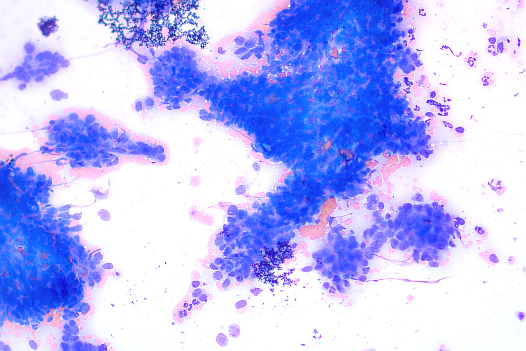 Cytology